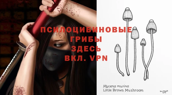 молекула духа Касимов