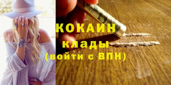 apvp Каменка