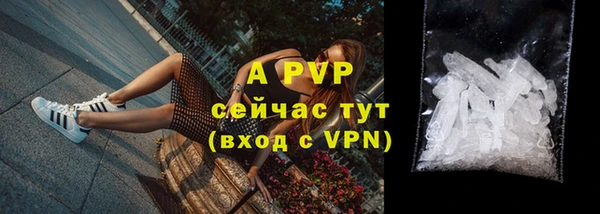молекула духа Касимов