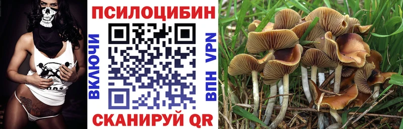 Псилоцибиновые грибы GOLDEN TEACHER  Купить  Карабаново 